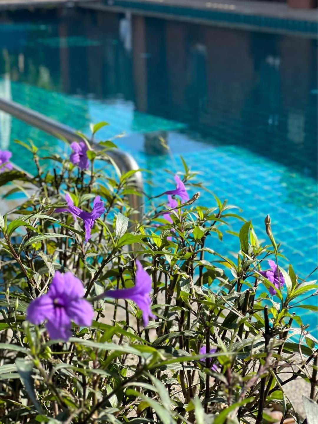 芭達亞 Pattara Mansion พัทยา酒店 外观 照片